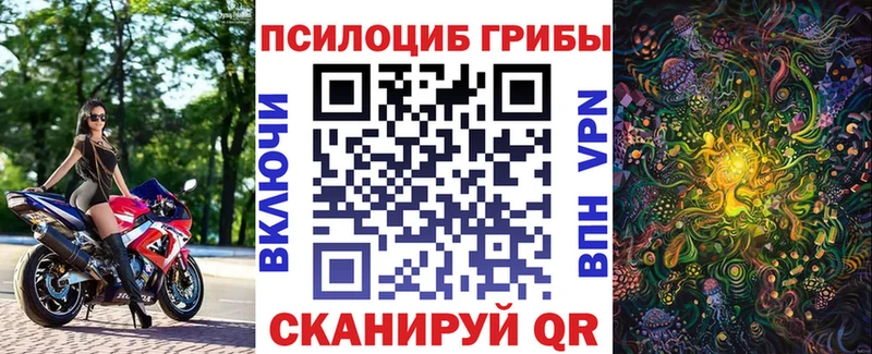 Купить  Нижнекамск  Псилоцибиновые грибы ЛСД 