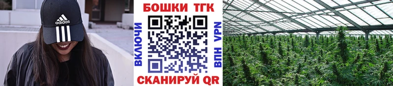 Купить где  Нижнекамск  Марихуана семена 